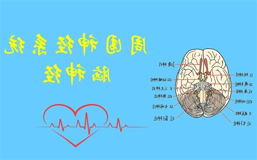 智 五行